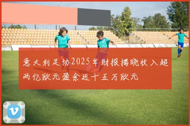 意大利足协2025年财报揭晓收入超两亿欧元盈余近十五万欧元
